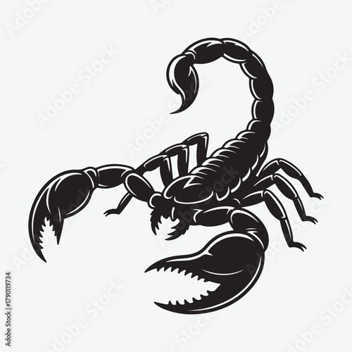 Silhouette of a Scorpion vector