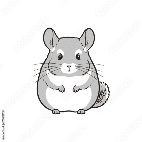 Gentle kawaii chinchilla sitting quietly in gray and white tones
