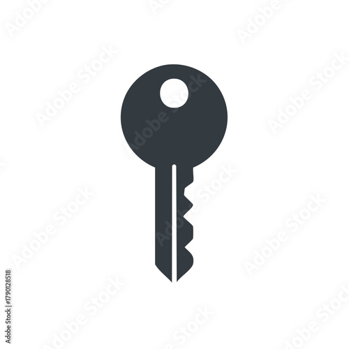 Dark Gray Silhouette of a Single Key on a White Background