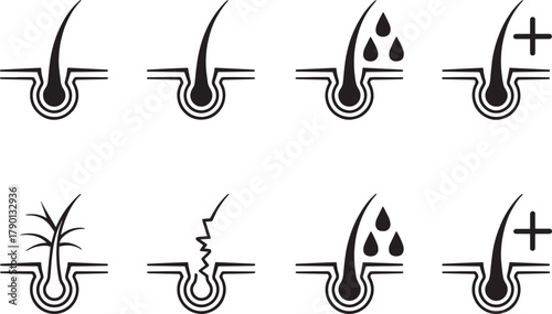 Hair Follicle Icons – Black and White Dermatology Symbols for Growth, Damage, and Treatment Visualization