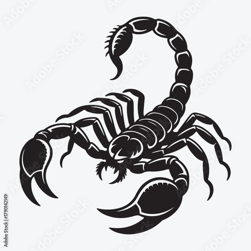 Silhouette of a Scorpion Design