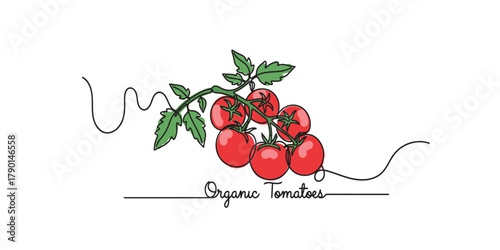 Minimalist line art vector of organic tomatoes on a vine with green leaves and cursive “Organic Tomatoes” text. Perfect for food packaging, vegan branding, and healthy lifestyle designs.