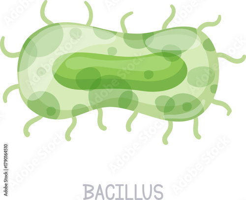 Bacillus bacteria causing illness, contamination, and health problems