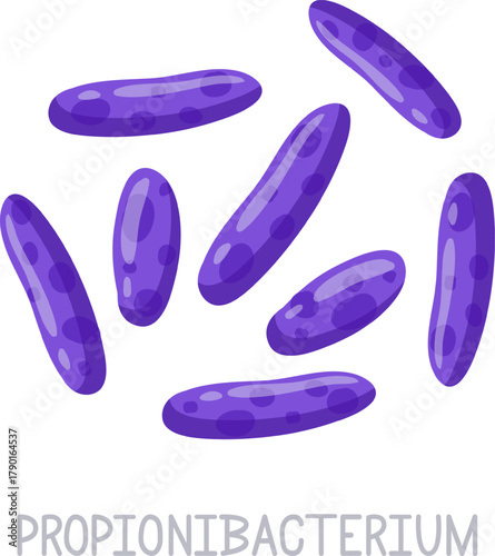 Propionibacterium bacteria illustration showing microscopic organisms