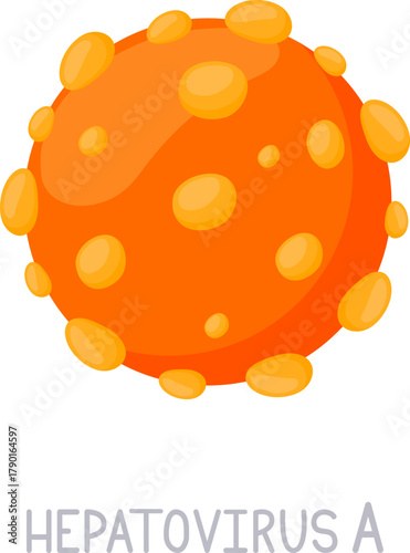 Hepatovirus A causing liver disease human infection