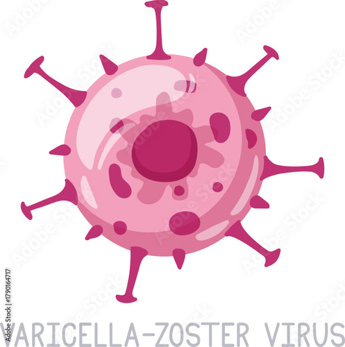 Varicella Zoster virus infecting cells and causing illness