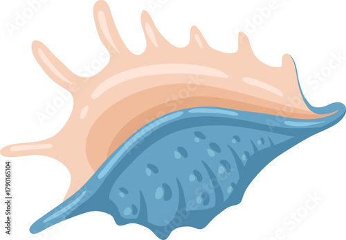 Seashell illustration displaying marine life and ocean concept