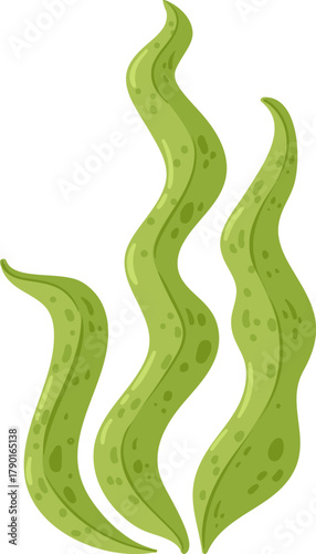 Green underwater seaweed plant elements flowing