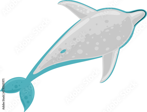 Gray dolphin ocean animal swimming vector illustration