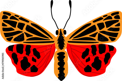 Colorful butterfly insect flying with vibrant wings