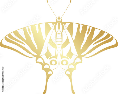 Golden butterfly illustration representing nature beauty and elegance
