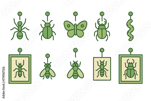 Set of pinned and framed insect specimens icons for entomology study