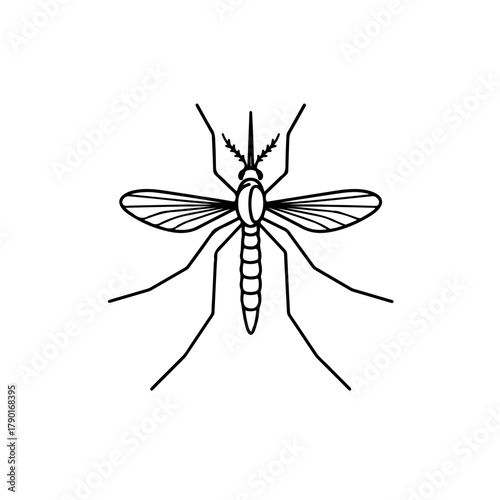 Vector black insect illustration of wasp in simple minimal line art style for natural and educational graphic projects