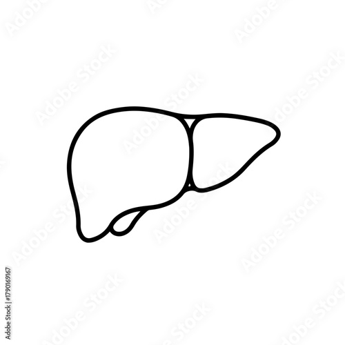Liver illustration variant simplified organic digestive anatomy medical diagram contour form vector line art design