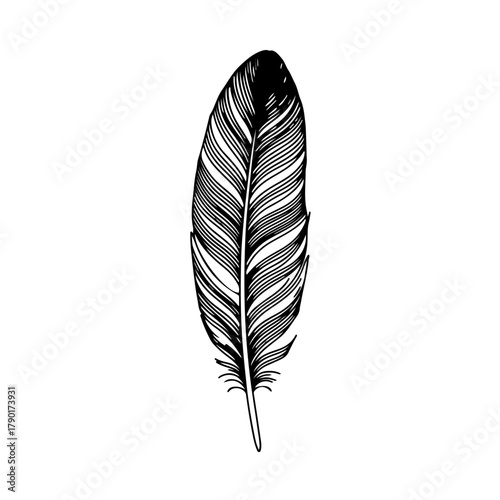 Vector illustration of feather quill in simple black line art minimal style for writing, art, and vintage design