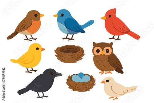 Cute cartoon birds and nests with eggs in a charming collection