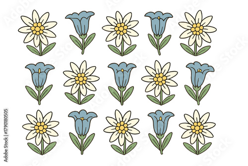 Folk art seamless pattern with edelweiss and blue bell flowers