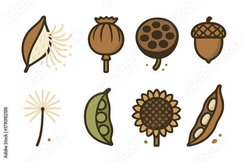 Stylized icons representing various plant seeds and seed pods