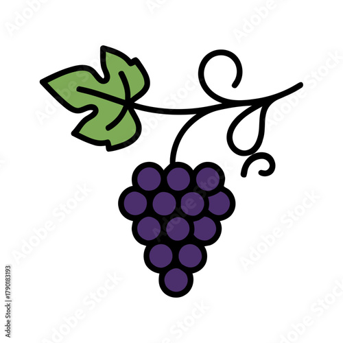 Isolated grapevine with purple grapes and a single leaf on a white background