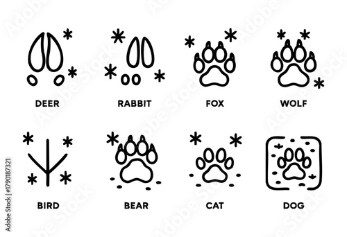 Tracks of different animals including deer, rabbit, fox, wolf, bear, cat, and dog are shown in a simple and fun format, suitable for learning about wildlife.
