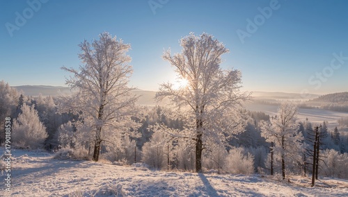 Wallpaper Mural Frosty trees shimmer softly under sunlight in a clear sky, showcasing the serene allure of a winter morning in nature. Torontodigital.ca