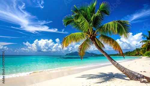 Fototapeta Naklejka Na Ścianę i Meble -  Tropical beach paradise with palm tree and turquoise water.