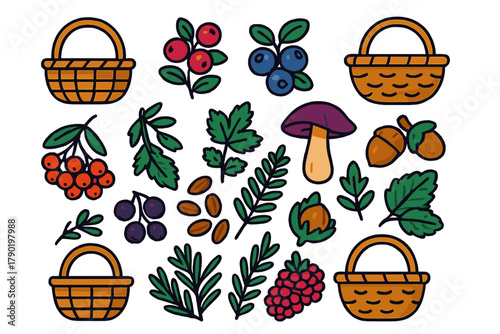Forest harvest elements with berries, nuts, mushrooms, and gathering baskets