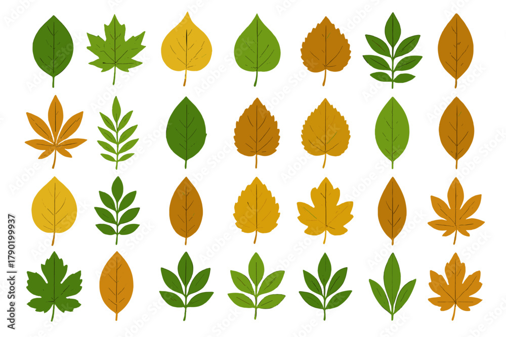 Obraz premium Assortment of deciduous tree leaves in vibrant green and warm autumn hues