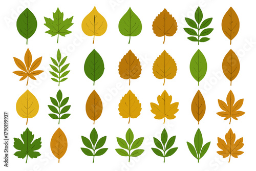 Assortment of deciduous tree leaves in vibrant green and warm autumn hues