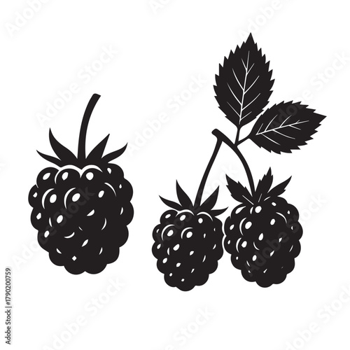 Fresh Blackberries Isolated on White Background