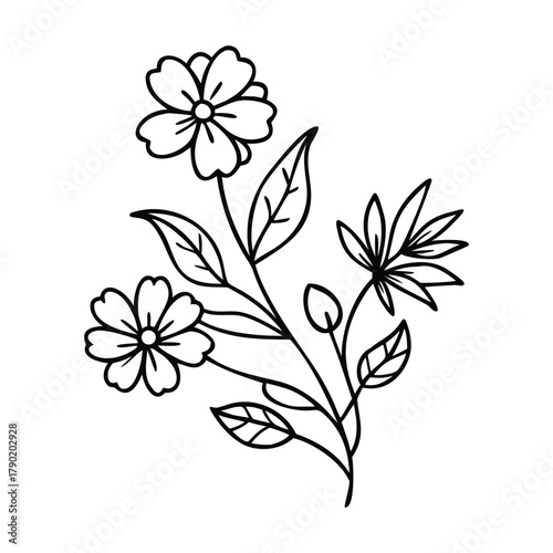 vector illustration of a flower