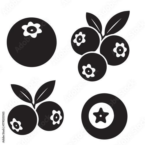 Fresh Blueberry Isolated on White Background