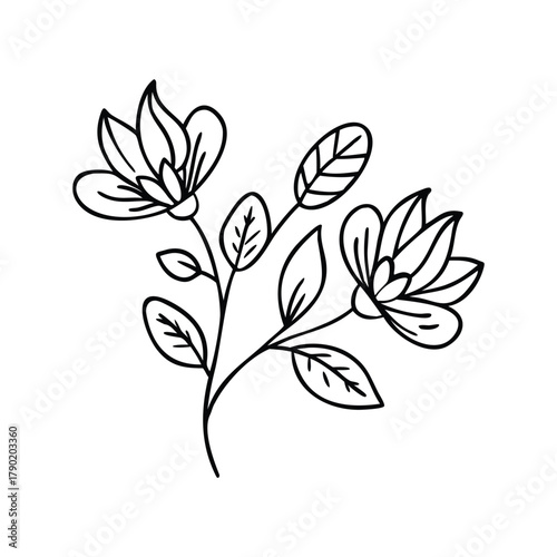 vector floral background