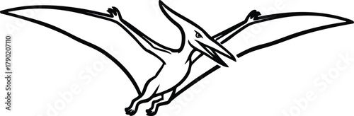 Monochrome Pterodactyl Line Art Flying Vector Illustration
