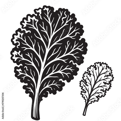 Mustard Greens Silhouette Vector Illustration Isolated on White Background