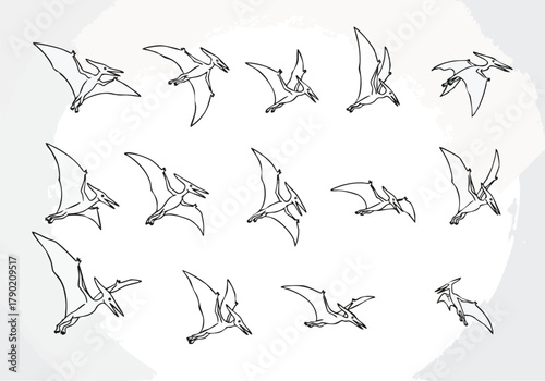 Pterodactyls in Flight A Collection of Line Art Illustrations