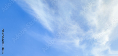 Fototapeta Naklejka Na Ścianę i Meble -  background of light clouds in a clear sky