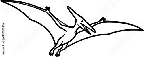 Pterodactyl Silhouette Illustration Prehistoric Flying Reptile Art