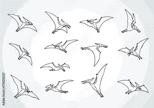 Pterodactyl Silhouette Collection Prehistoric Avian Flyers in Motion