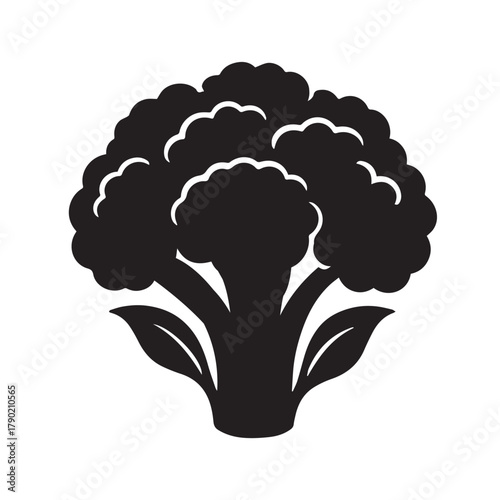 Broccoli Silhouette Vector Illustration Isolated on White Background