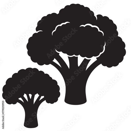 Broccoli Silhouette Vector Illustration Isolated on White Background