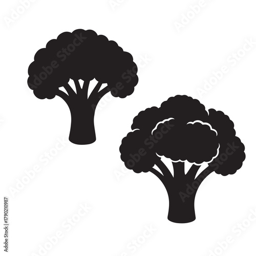 Broccoli Silhouette Vector Illustration Isolated on White Background