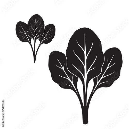 Spinach Leaf Silhouette Vector Illustration Isolated on White Background