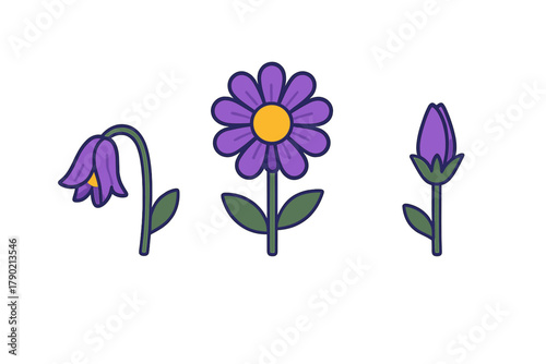 Purple flowers showing life cycle stages of growth, bloom, and wilting
