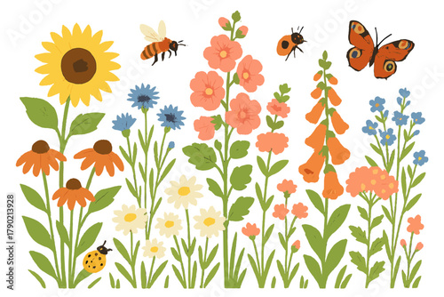 Colorful meadow flowers and pollinating insects set on a white background