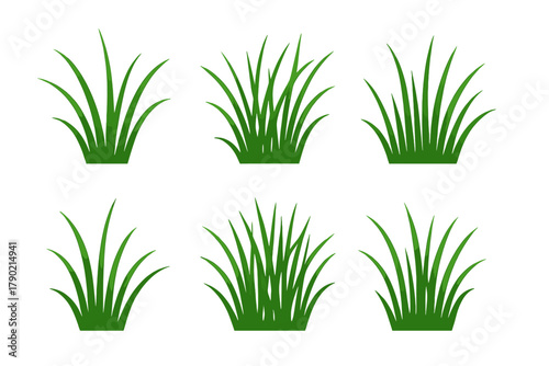 Six different green grass tufts isolated on white background for natural design elements