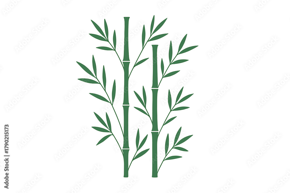 Fototapeta premium Minimalist green bamboo shoots and foliage isolated on white background