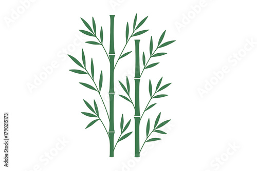 Minimalist green bamboo shoots and foliage isolated on white background