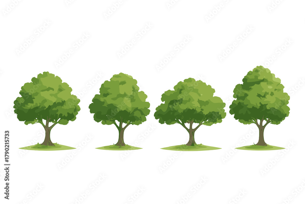 Fototapeta premium Four lush green deciduous trees standing in a row isolated on a clean white background