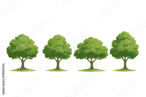 Four lush green deciduous trees standing in a row isolated on a clean white background